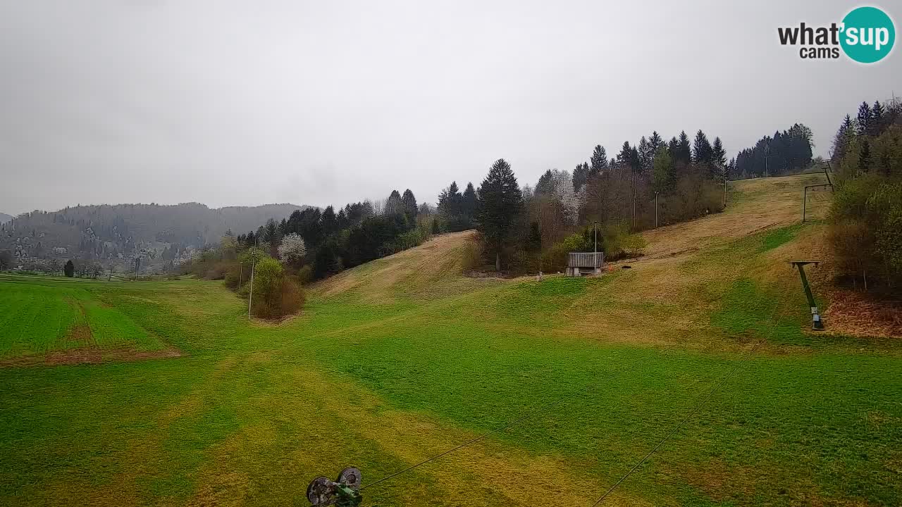 Webcam Smučišče Senožeta – Ski Resort Live View near Bohinj