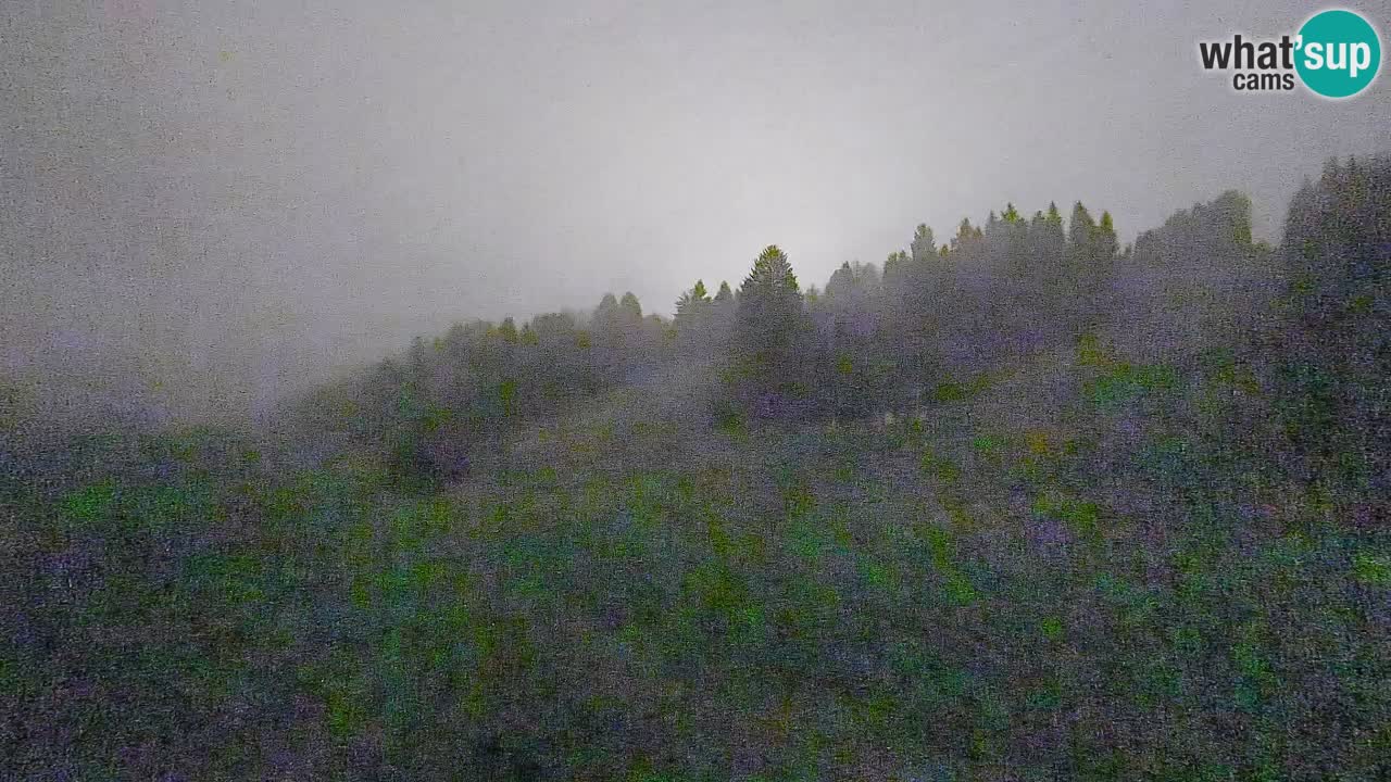 Webcam Smučišče Senožeta – Skigebiet in Srednja Vas bei Bohinj