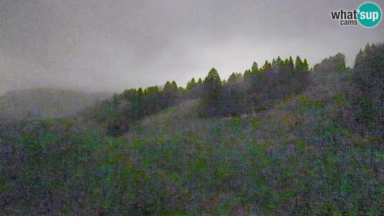 Webcam Smučišče Senožeta – Ski Resort Live View near Bohinj