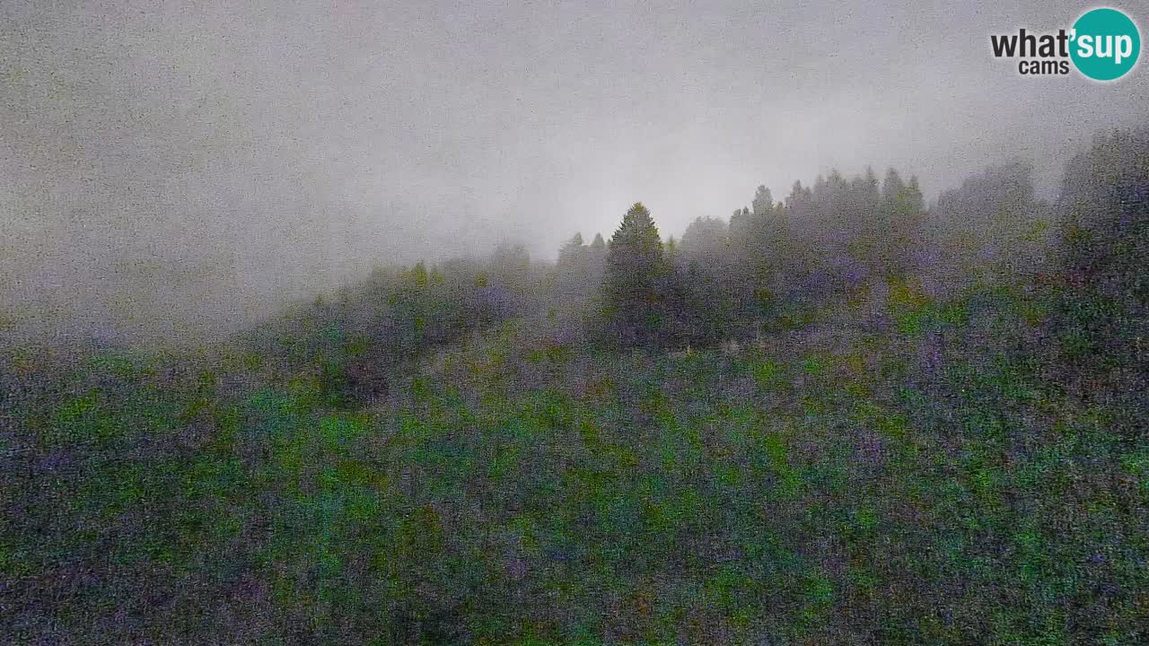 Webcam Smučišče Senožeta – Stazione sciistica a Srednja Vas vicino Bohinj