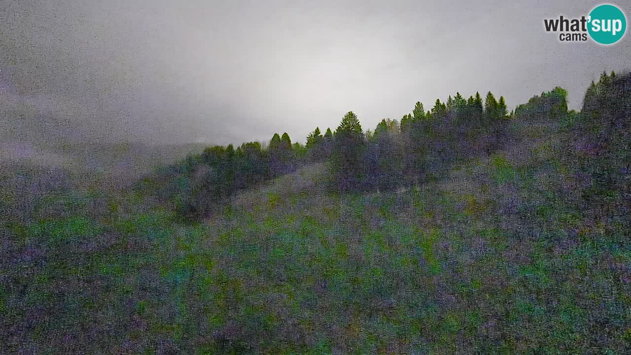 Webcam Smučišče Senožeta – Skigebiet in Srednja Vas bei Bohinj