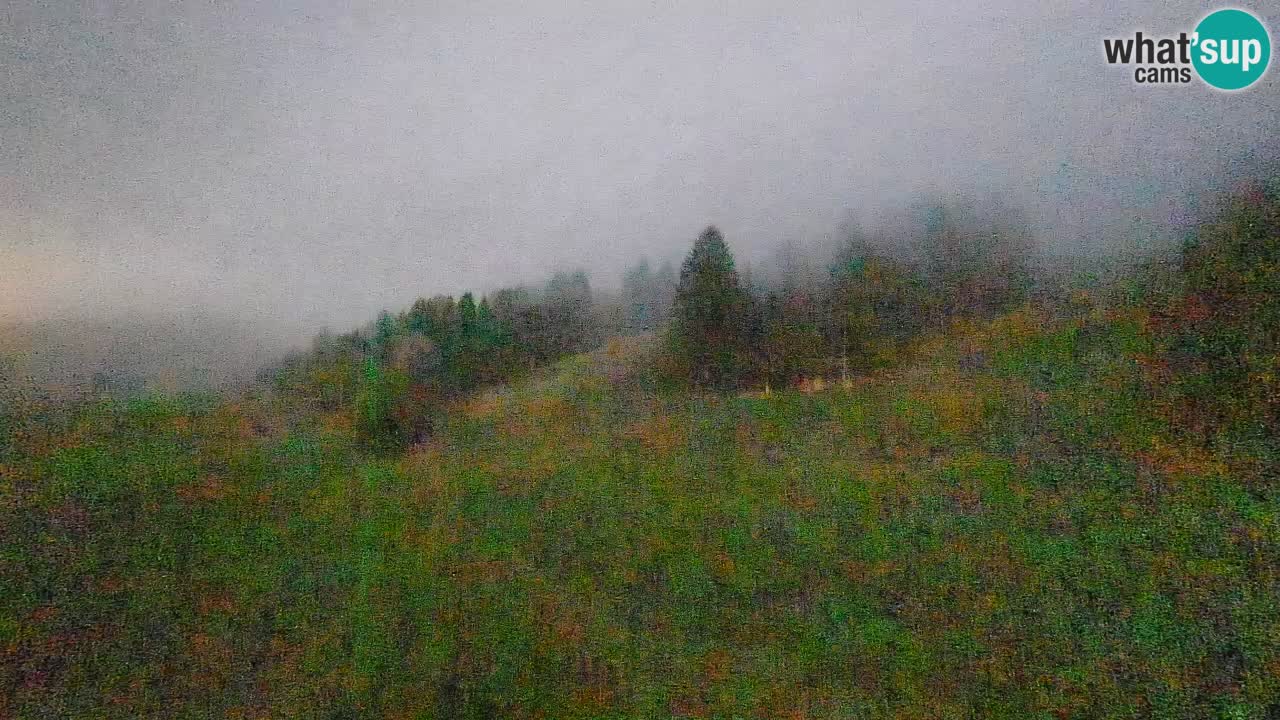 Webcam Smučišče Senožeta – Station de ski à Srednja Vas près de Bohinj