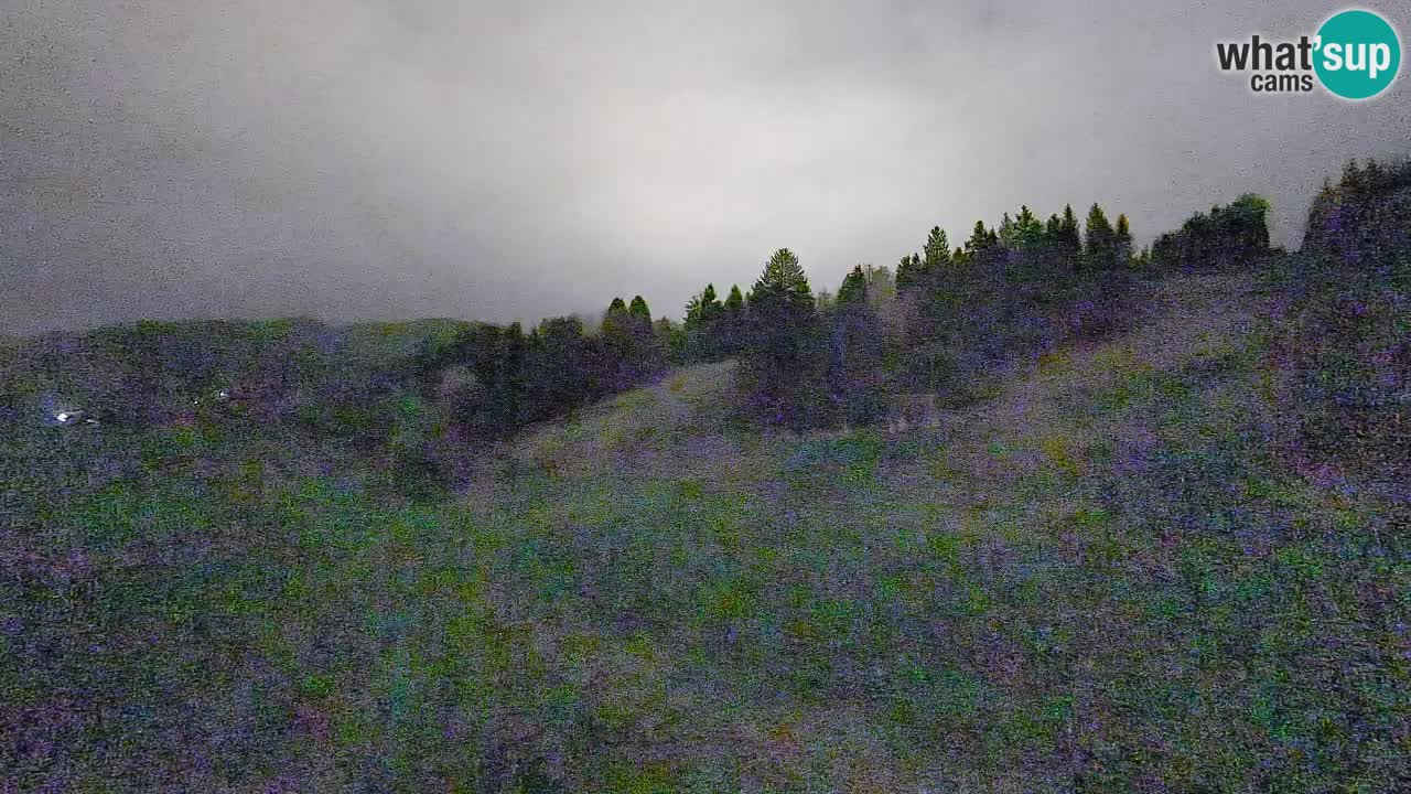 Web kamera Smučišče Senožeta – Skijalište u Srednjoj Vasi kod Bohinja