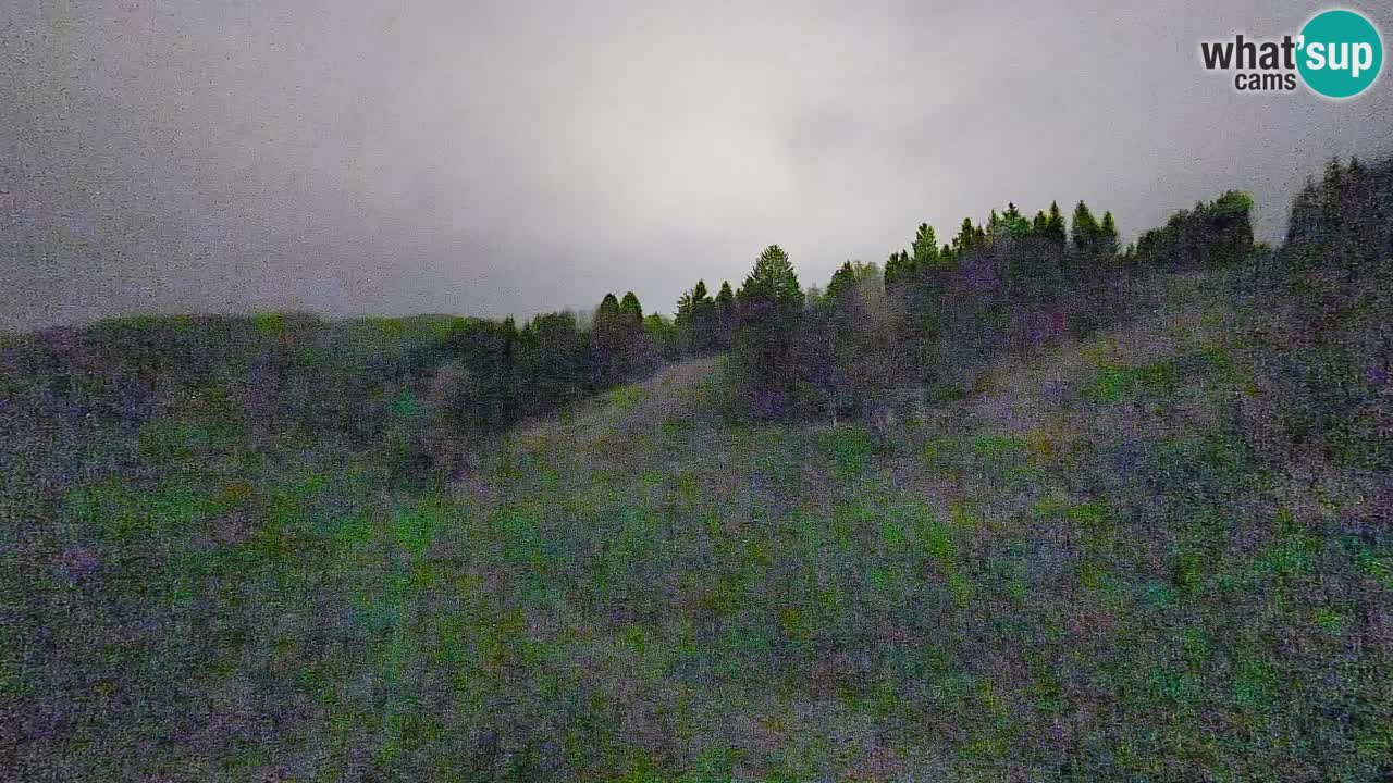 Webcam Smučišče Senožeta – Stazione sciistica a Srednja Vas vicino Bohinj