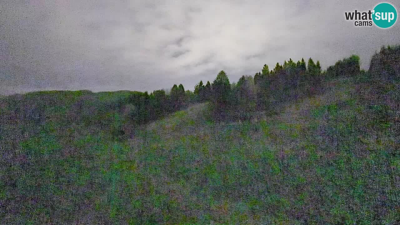 Spletna kamera Smučišče Senožeta – smučarsko središče v Srednji vasi pri Bohinju