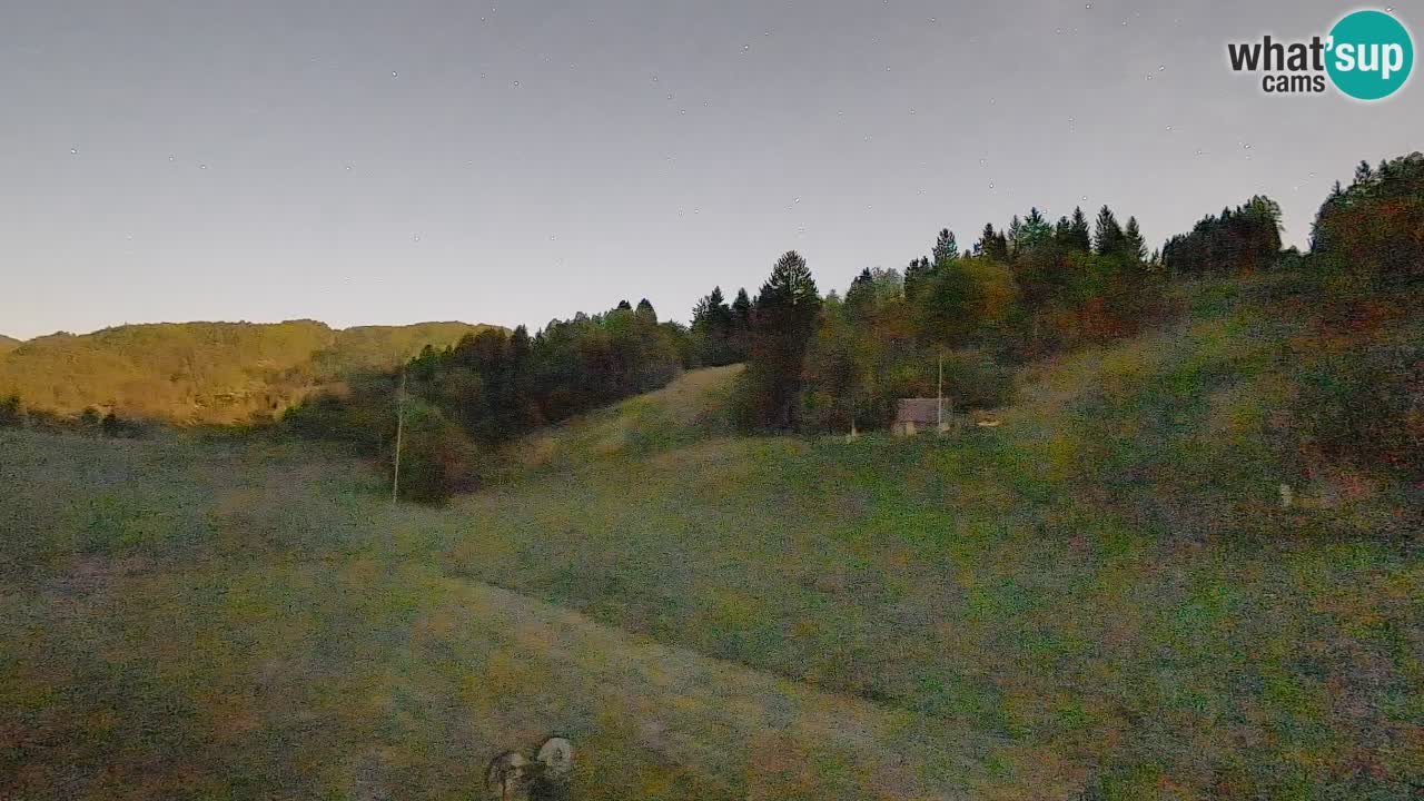 Spletna kamera Smučišče Senožeta – smučarsko središče v Srednji vasi pri Bohinju