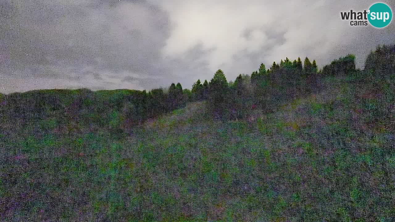 Web kamera Smučišče Senožeta – Skijalište u Srednjoj Vasi kod Bohinja