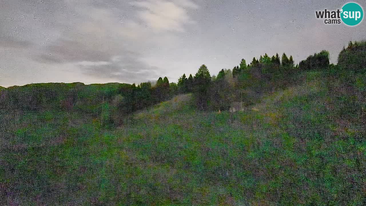 Webcam Smučišče Senožeta – Skigebiet in Srednja Vas bei Bohinj