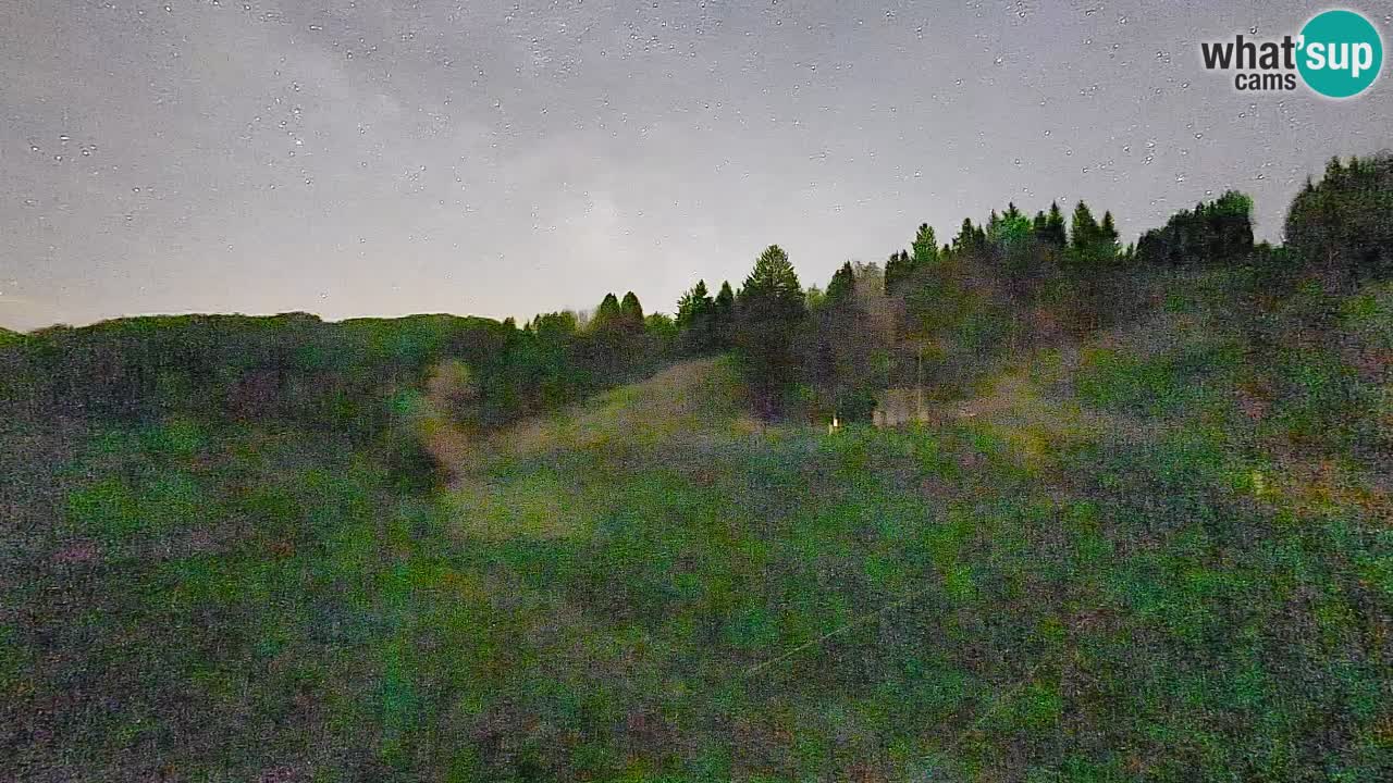 Webcam Smučišče Senožeta – Ski Resort Live View near Bohinj