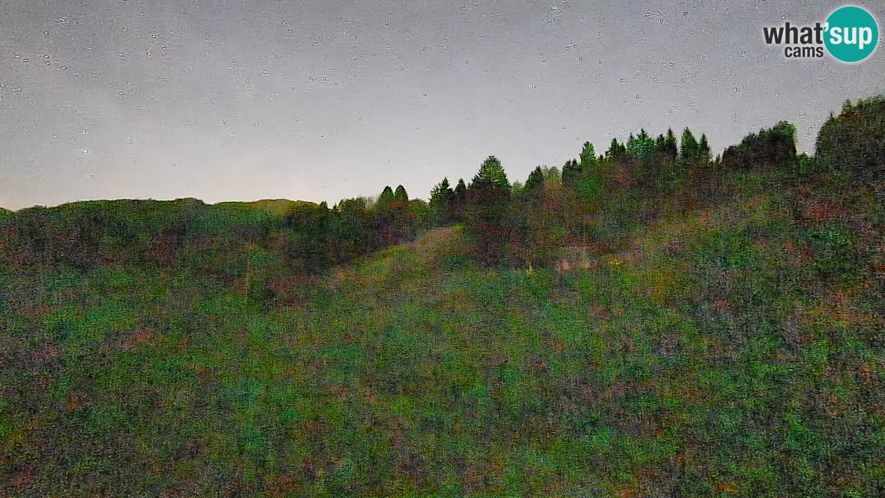 Web kamera Smučišče Senožeta – Skijalište u Srednjoj Vasi kod Bohinja