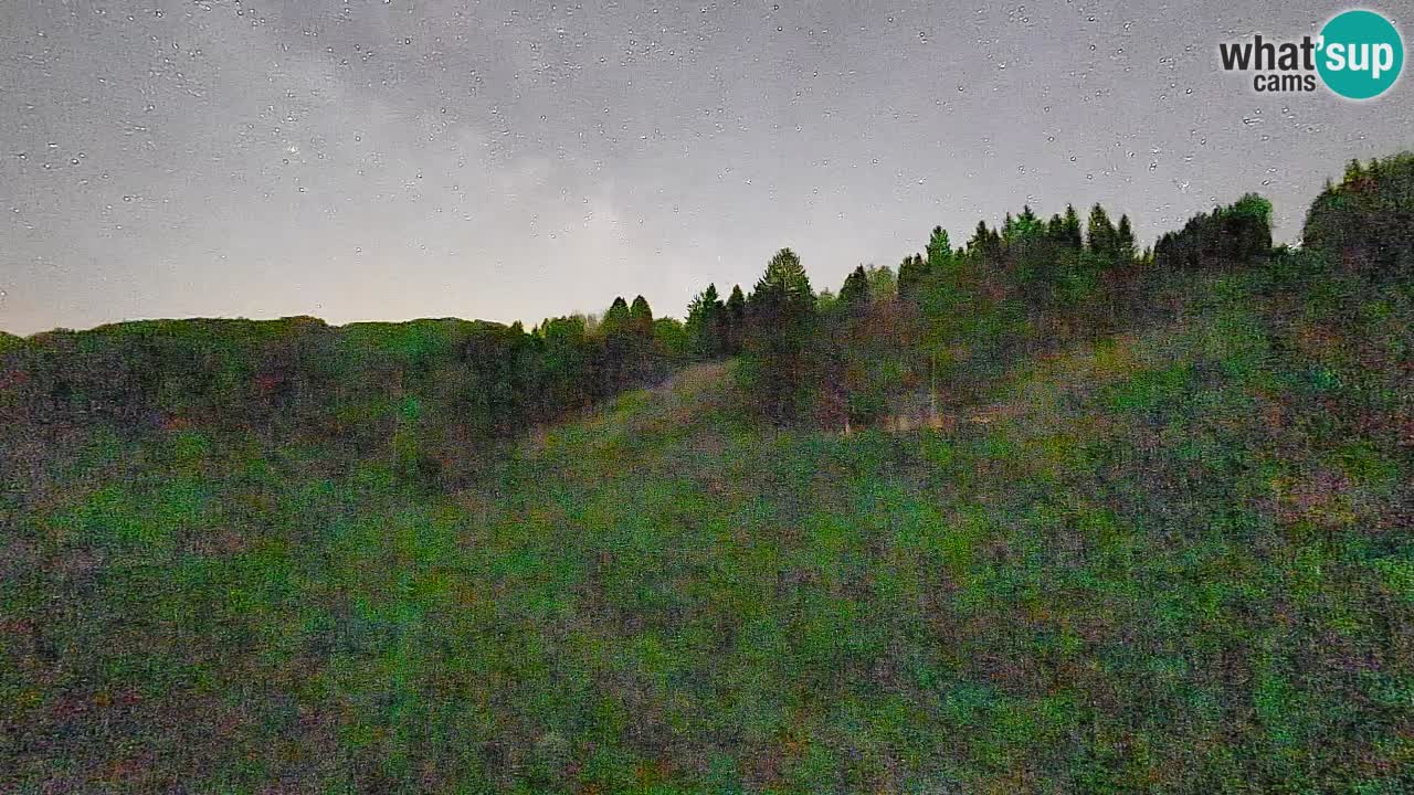 Spletna kamera Smučišče Senožeta – smučarsko središče v Srednji vasi pri Bohinju