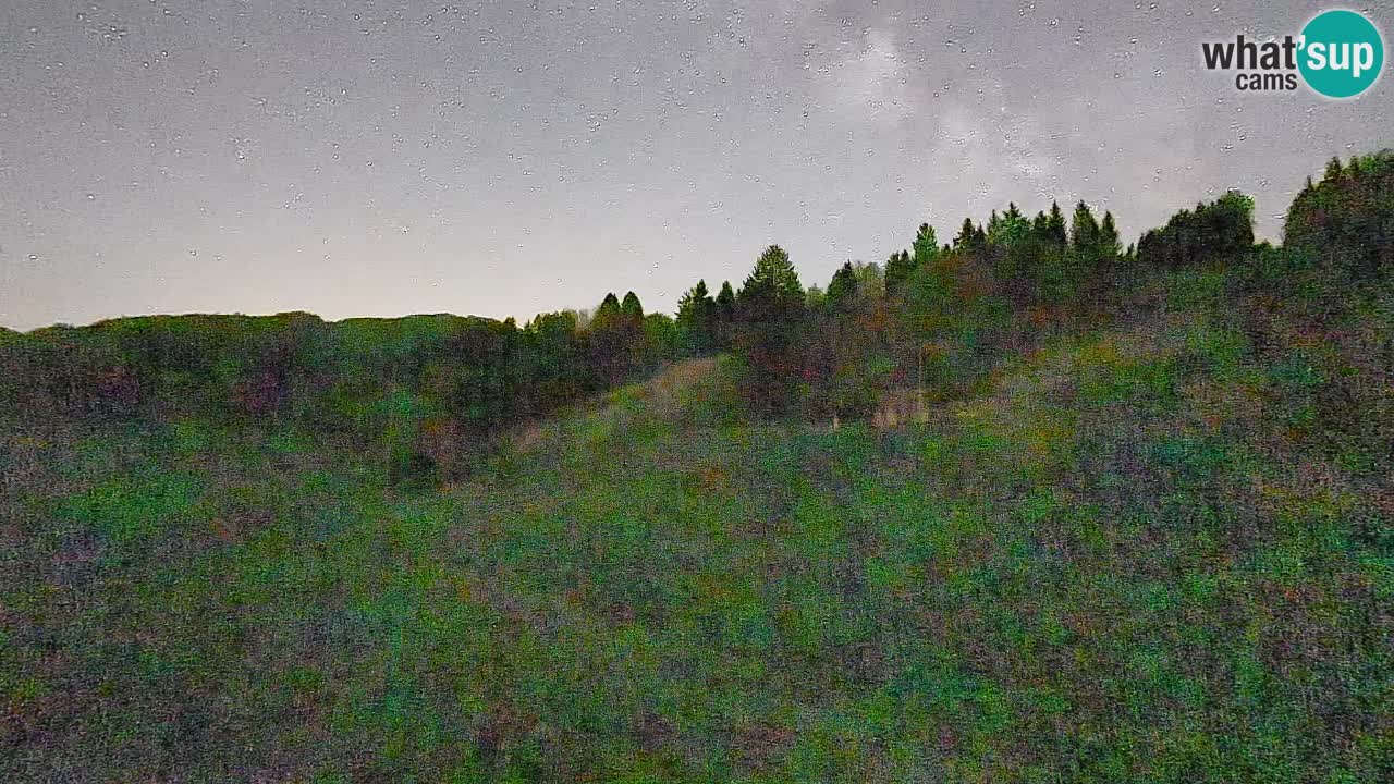 Spletna kamera Smučišče Senožeta – smučarsko središče v Srednji vasi pri Bohinju