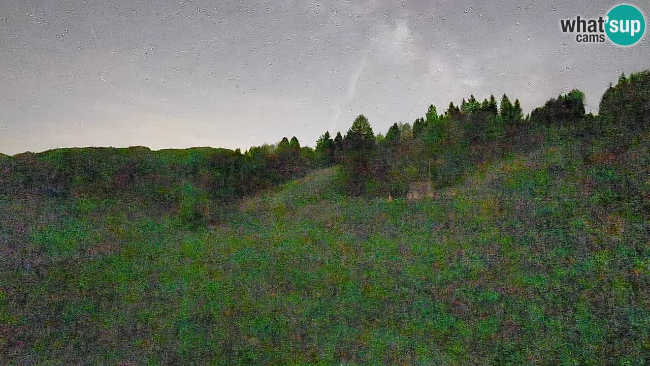 Webcam Smučišče Senožeta – Stazione sciistica a Srednja Vas vicino Bohinj