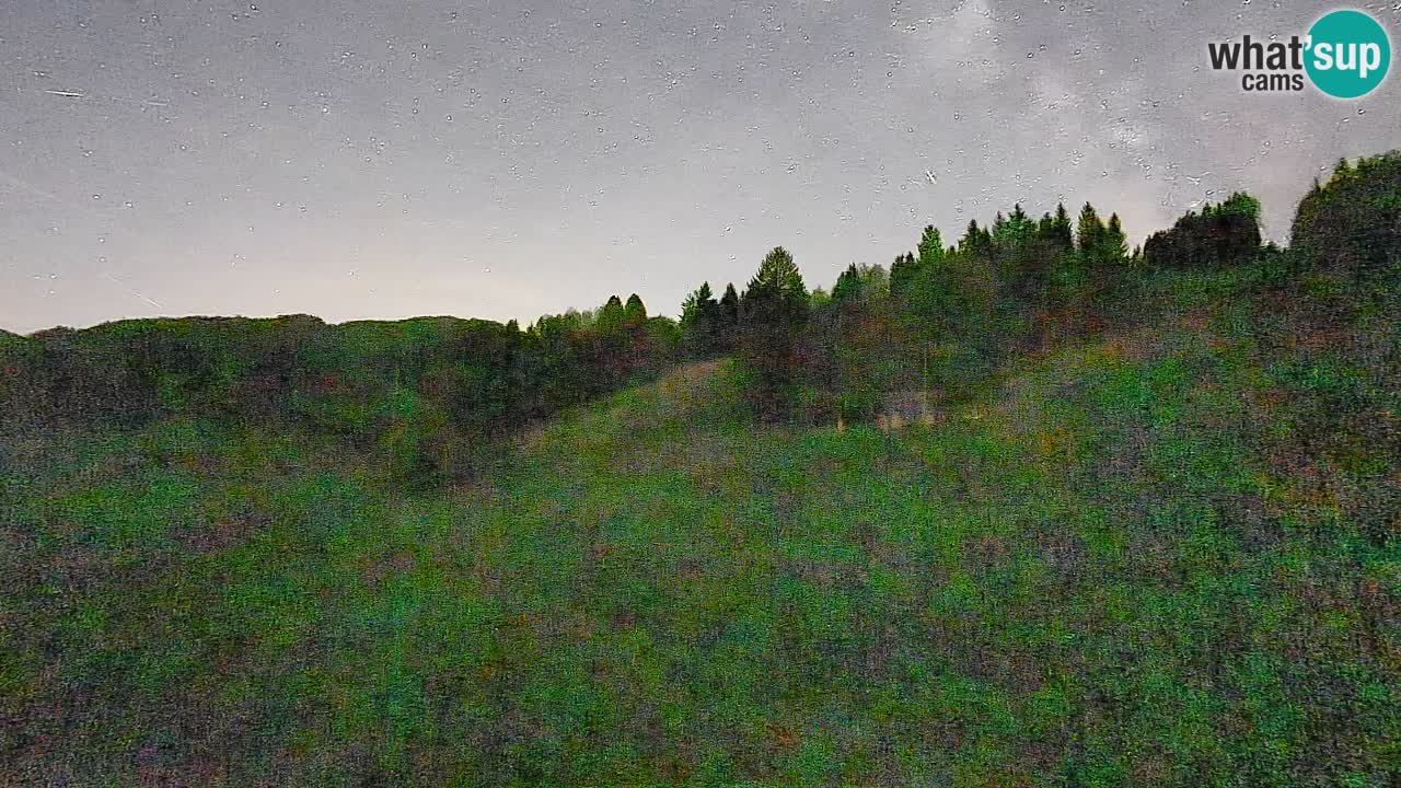 Webcam Smučišče Senožeta – Ski Resort Live View near Bohinj