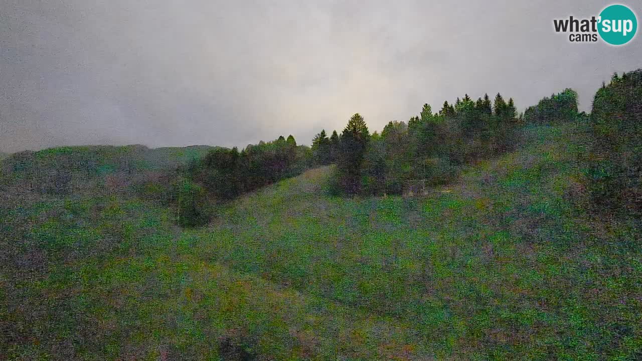 Webcam Smučišče Senožeta – Skigebiet in Srednja Vas bei Bohinj