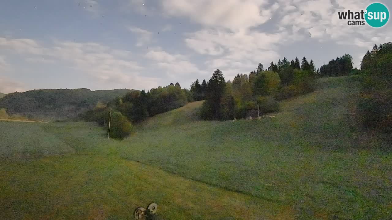 Web kamera Smučišče Senožeta – Skijalište u Srednjoj Vasi kod Bohinja
