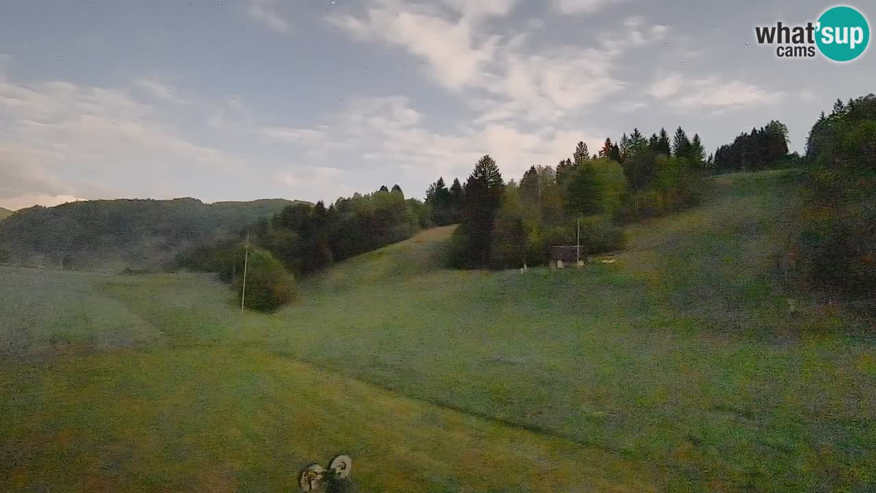 Webcam Smučišče Senožeta – Ski Resort Live View near Bohinj