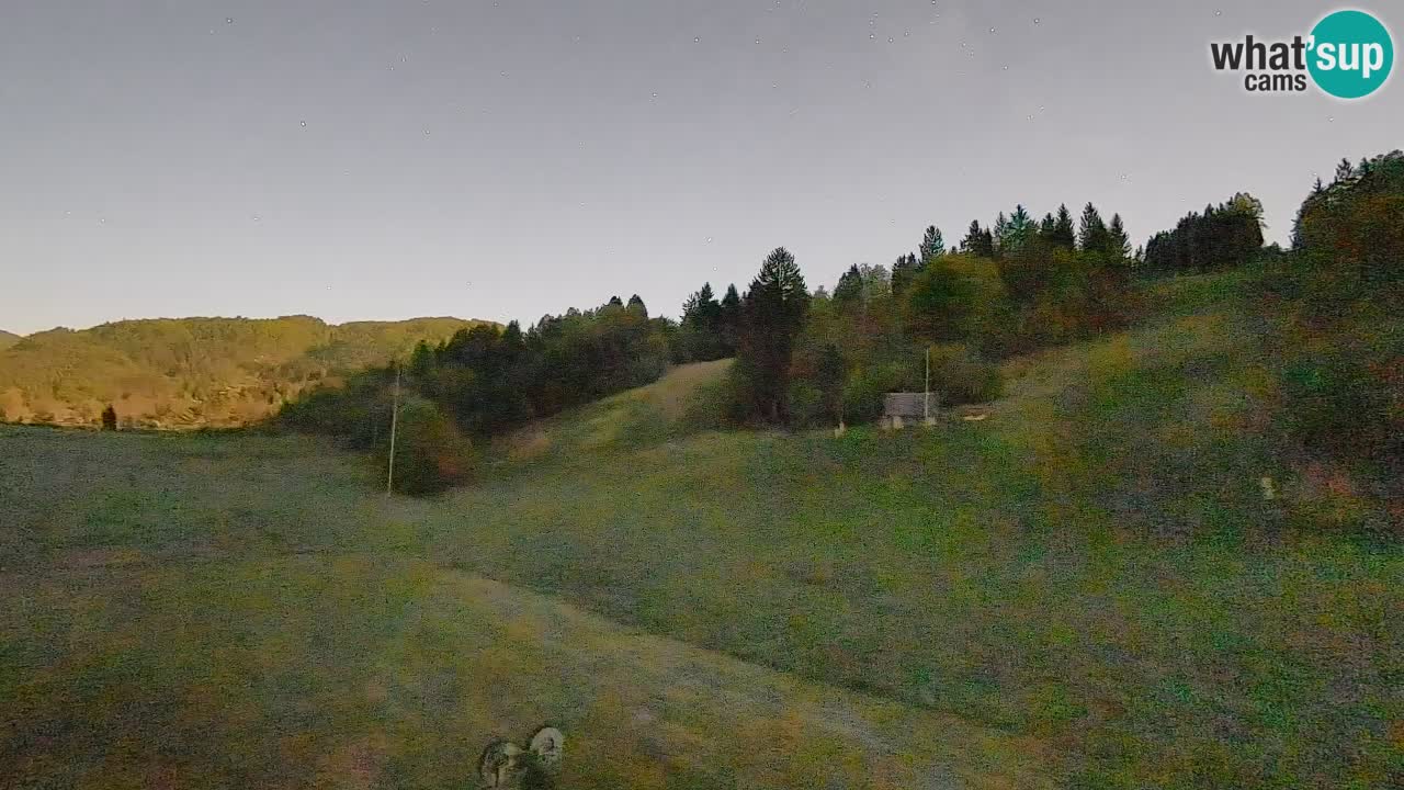 Webcam Smučišče Senožeta – Skigebiet in Srednja Vas bei Bohinj