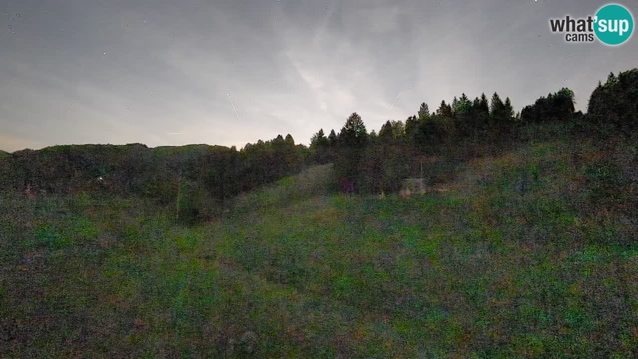 Webcam Smučišče Senožeta – Stazione sciistica a Srednja Vas vicino Bohinj