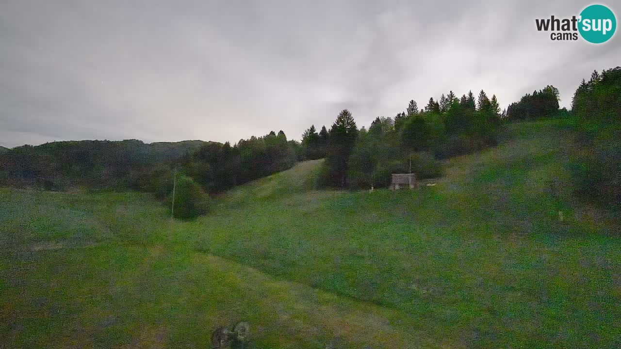 Webcam Smučišče Senožeta – Ski Resort Live View near Bohinj