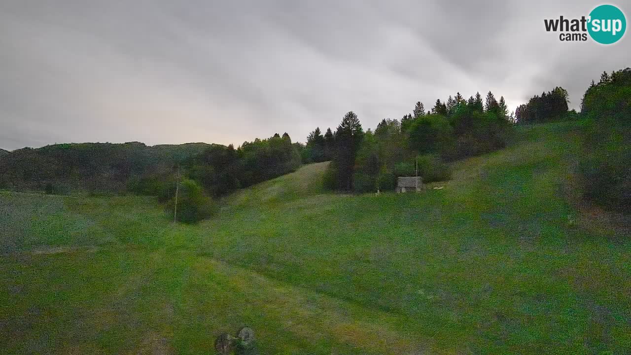 Webcam Smučišče Senožeta – Ski Resort Live View near Bohinj