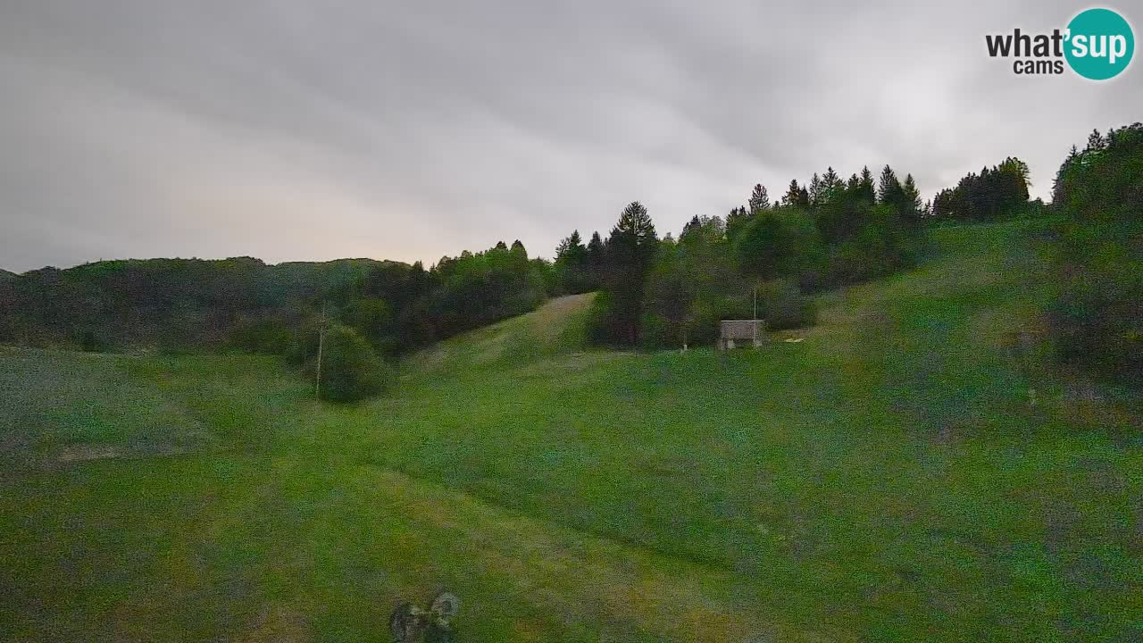 Webcam Smučišče Senožeta – Ski Resort Live View near Bohinj