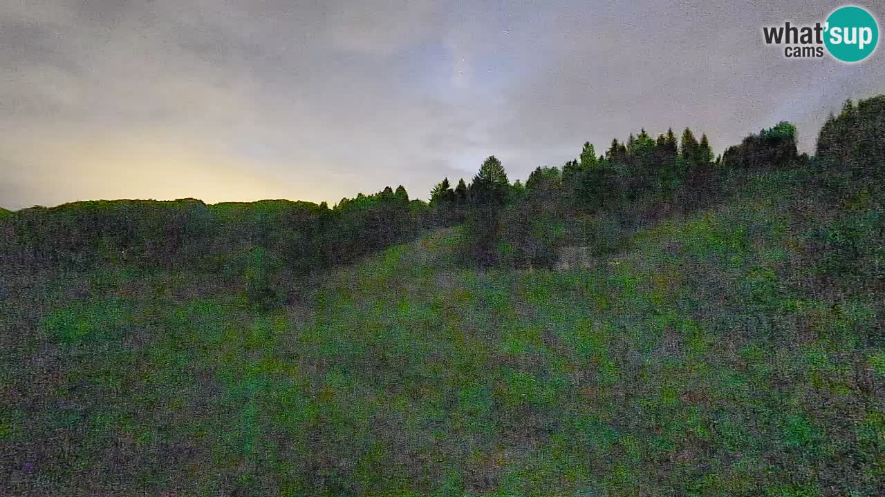 Webcam Smučišče Senožeta – Stazione sciistica a Srednja Vas vicino Bohinj