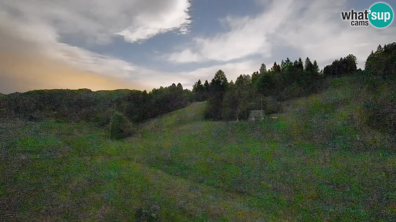 Webcam Smučišče Senožeta – Ski Resort Live View near Bohinj