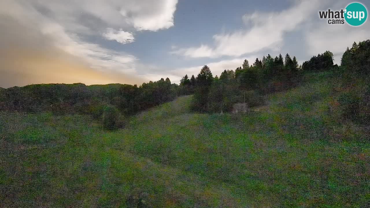 Webcam Smučišče Senožeta – Stazione sciistica a Srednja Vas vicino Bohinj