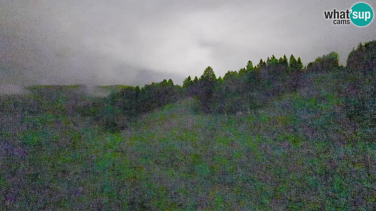 Webcam Smučišče Senožeta – Station de ski à Srednja Vas près de Bohinj