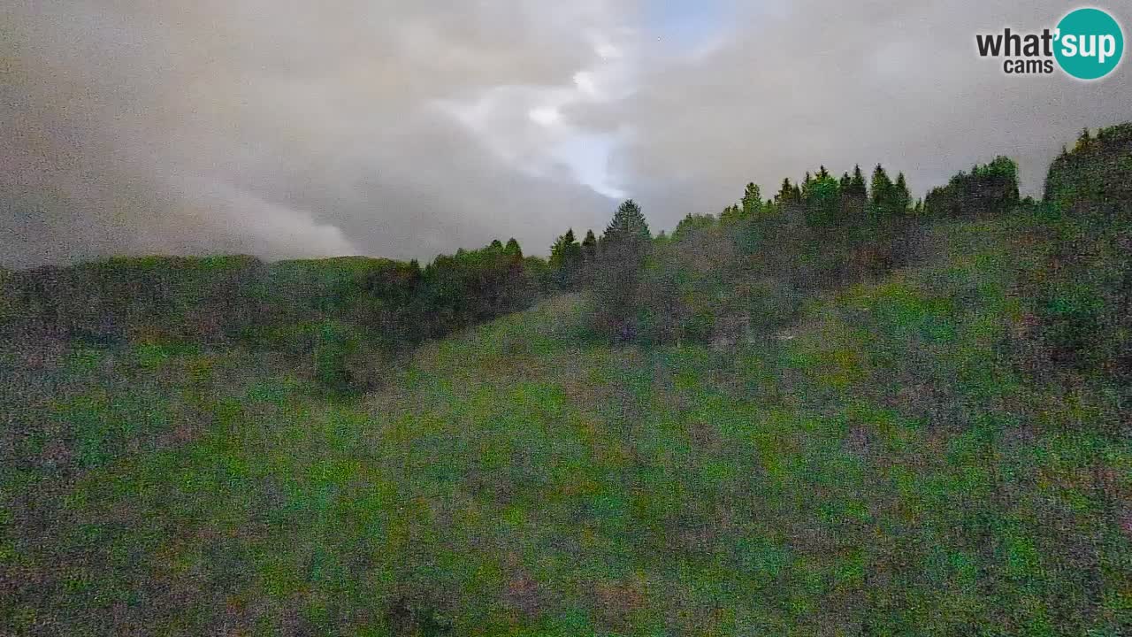 Webcam Smučišče Senožeta – Ski Resort Live View near Bohinj