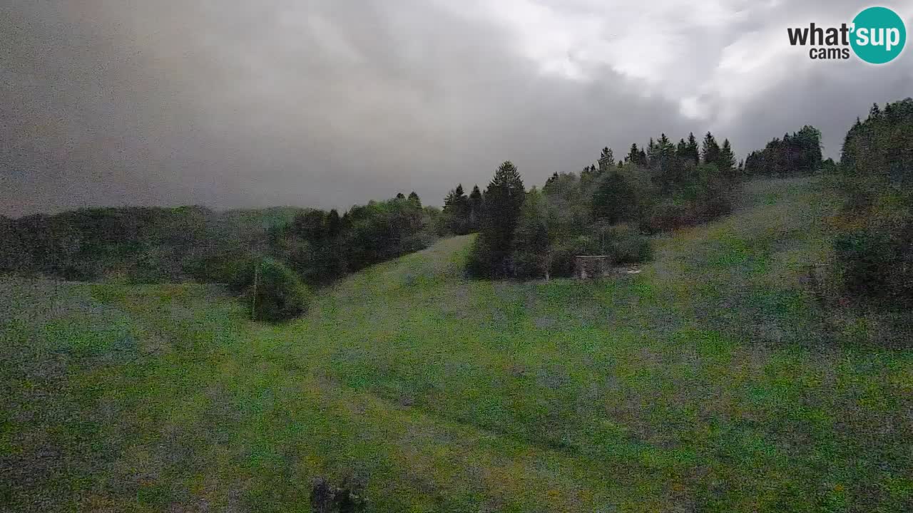 Webcam Smučišče Senožeta – Skigebiet in Srednja Vas bei Bohinj
