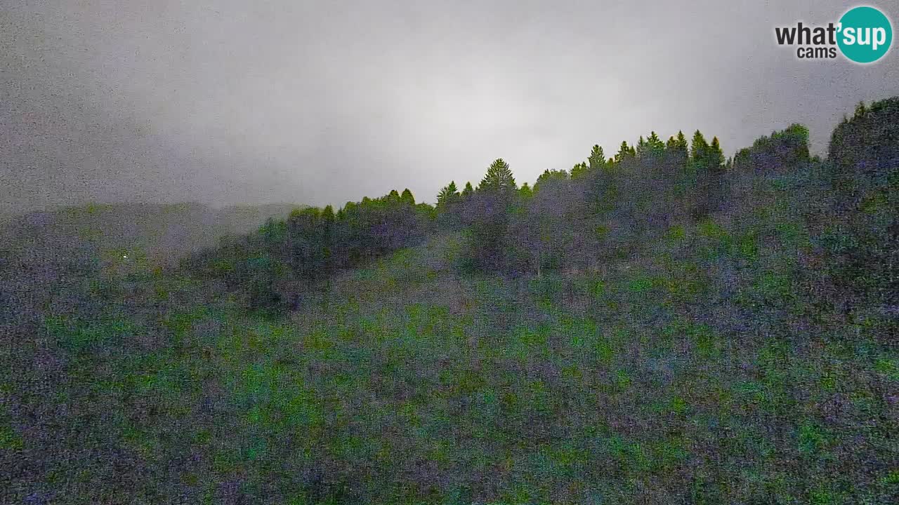 Webcam Smučišče Senožeta – Ski Resort Live View near Bohinj