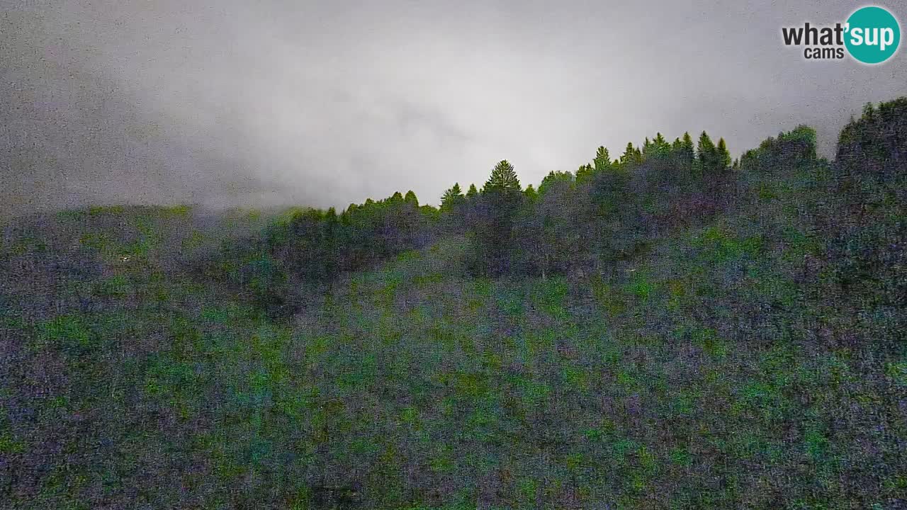 Webcam Smučišče Senožeta – Skigebiet in Srednja Vas bei Bohinj