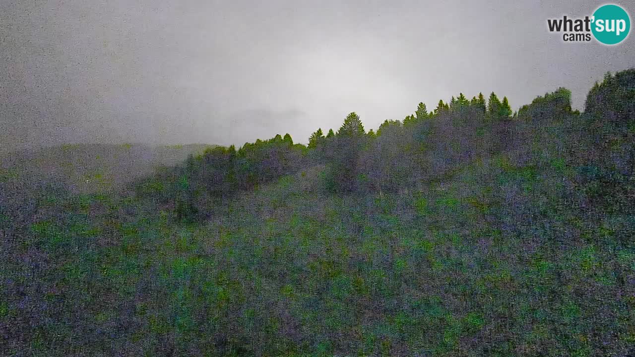 Webcam Smučišče Senožeta – Stazione sciistica a Srednja Vas vicino Bohinj