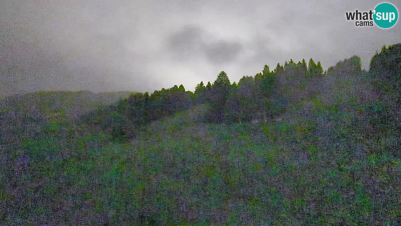 Webcam Smučišče Senožeta – Ski Resort Live View near Bohinj