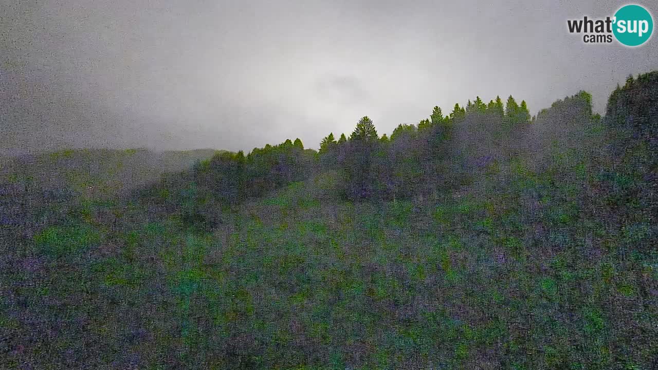 Webcam Smučišče Senožeta – Ski Resort Live View near Bohinj