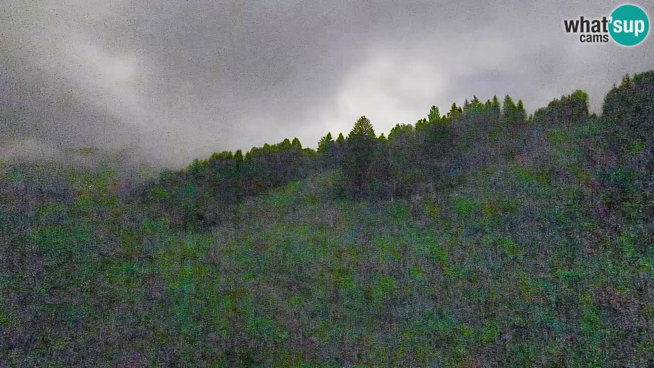 Webcam Smučišče Senožeta – Skigebiet in Srednja Vas bei Bohinj