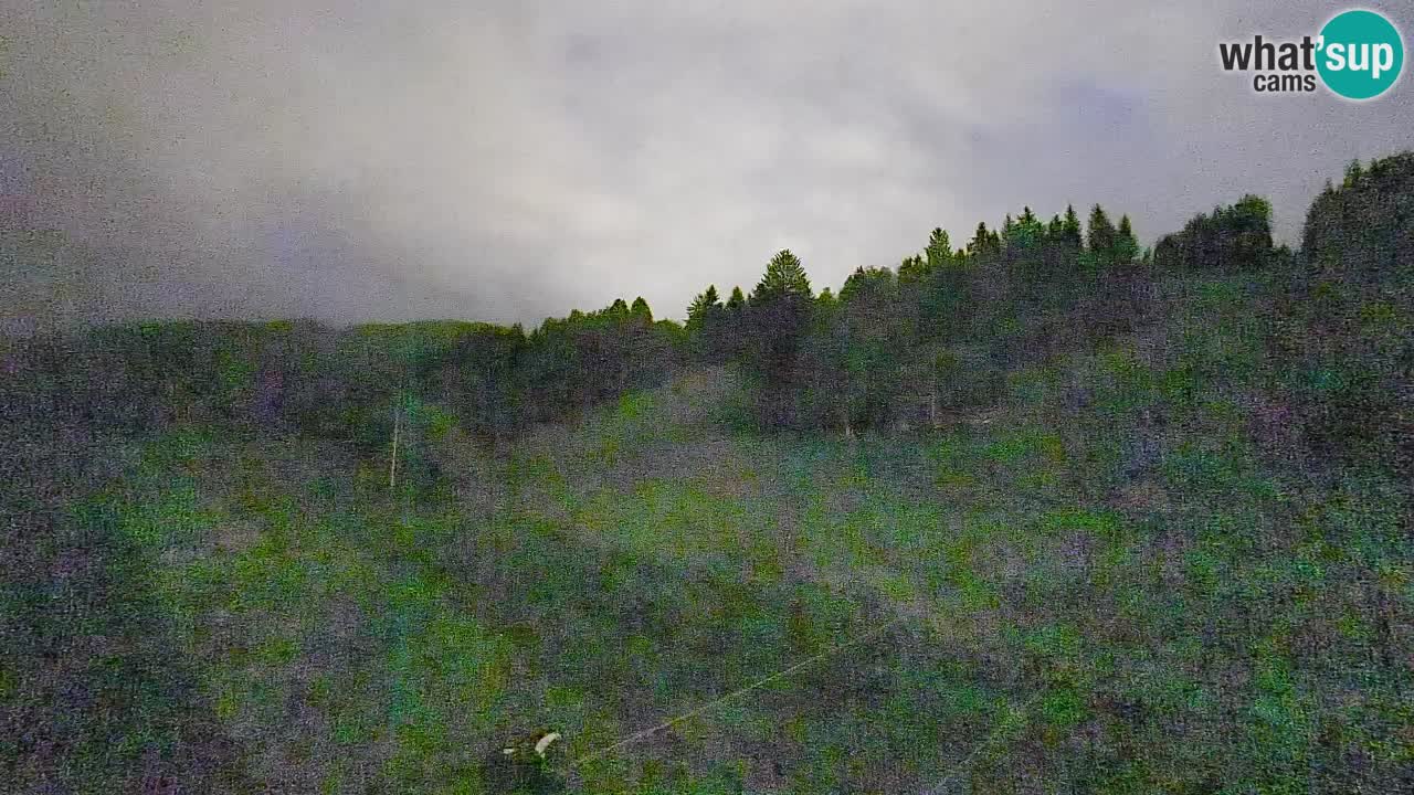 Webcam Smučišče Senožeta – Ski Resort Live View near Bohinj