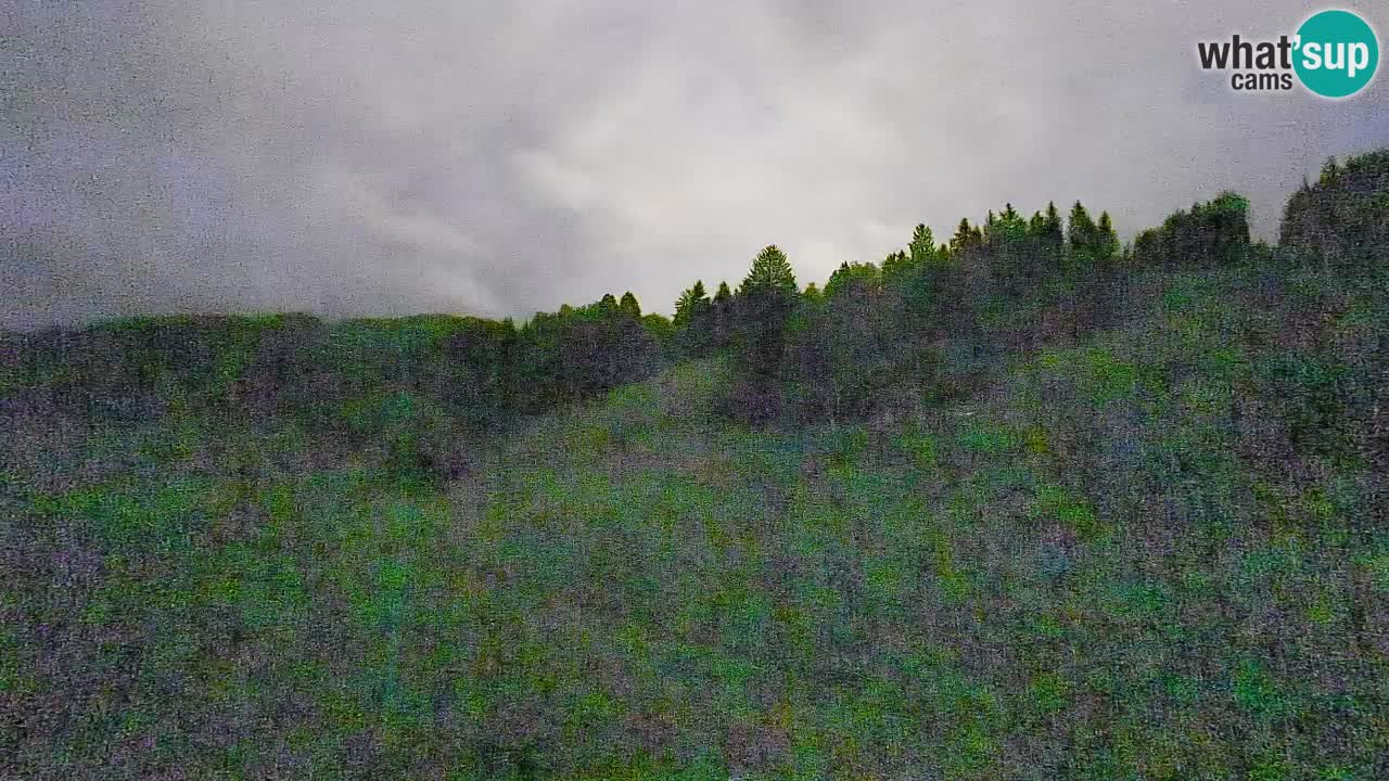 Webcam Smučišče Senožeta – Ski Resort Live View near Bohinj