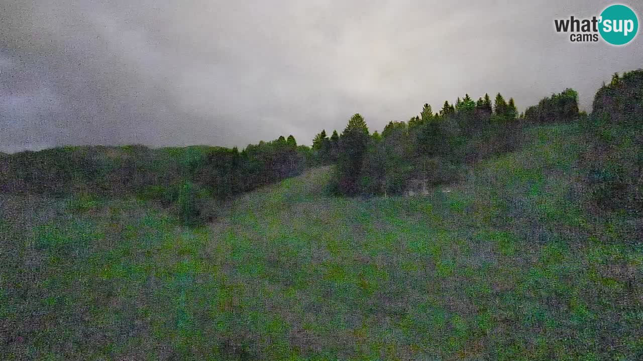 Webcam Smučišče Senožeta – Ski Resort Live View near Bohinj