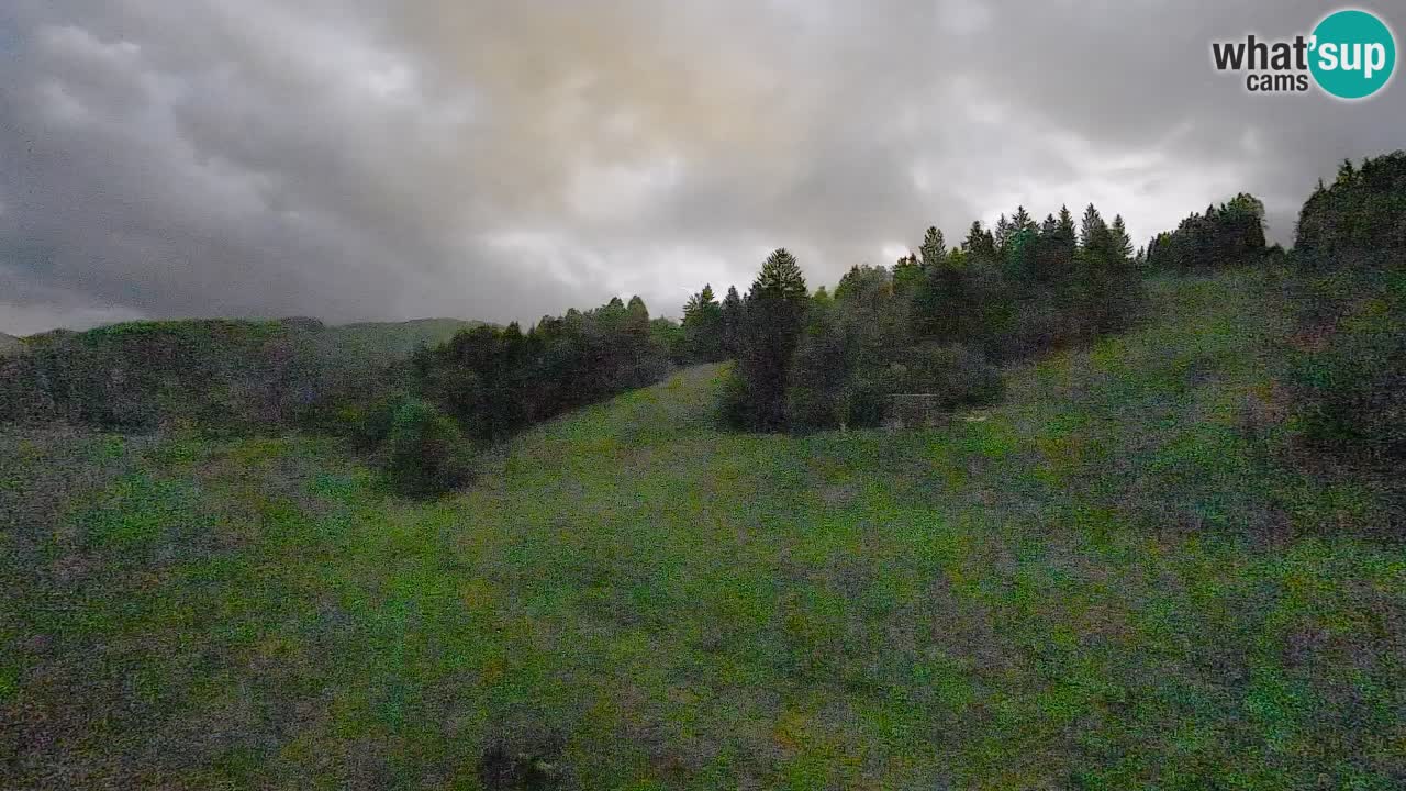 Webcam Smučišče Senožeta – Ski Resort Live View near Bohinj