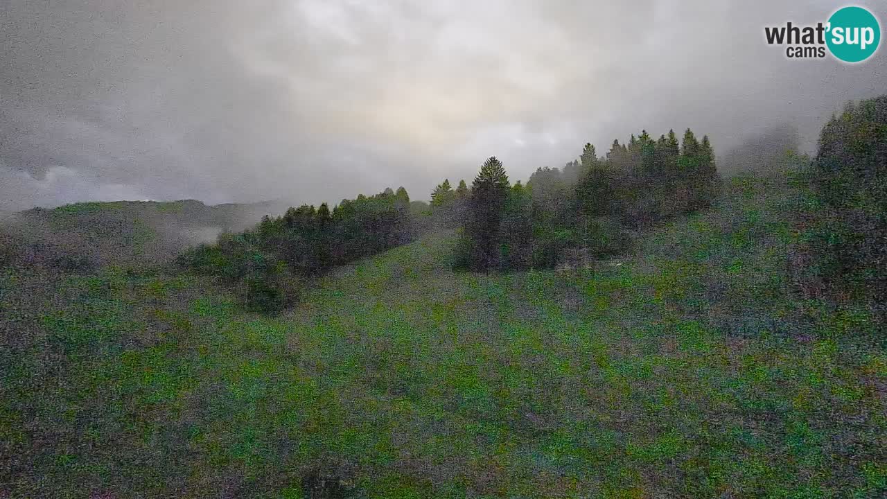 Webcam Smučišče Senožeta – Ski Resort Live View near Bohinj