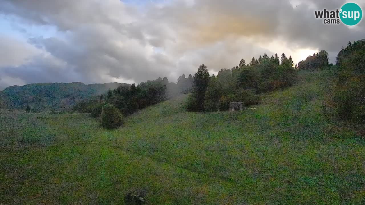 Web kamera Smučišče Senožeta – Skijalište u Srednjoj Vasi kod Bohinja