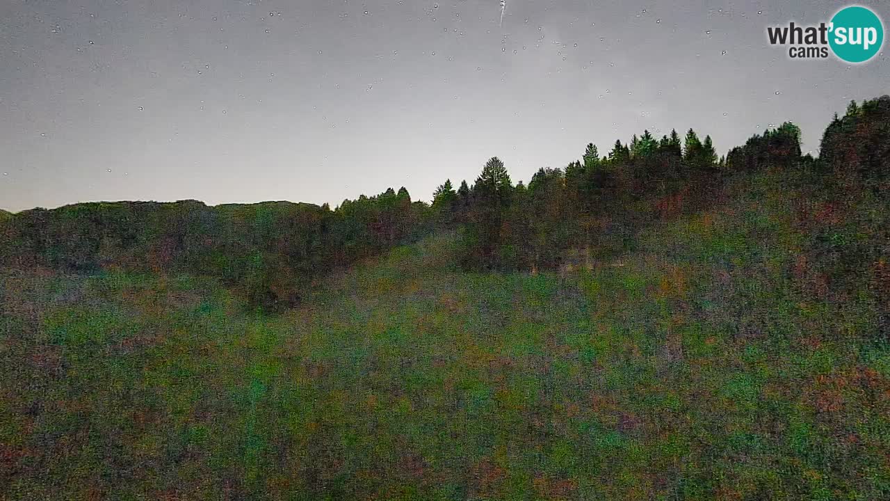 Webcam Smučišče Senožeta – Ski Resort Live View near Bohinj