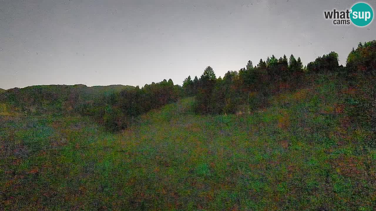 Webcam Smučišče Senožeta – Ski Resort Live View near Bohinj