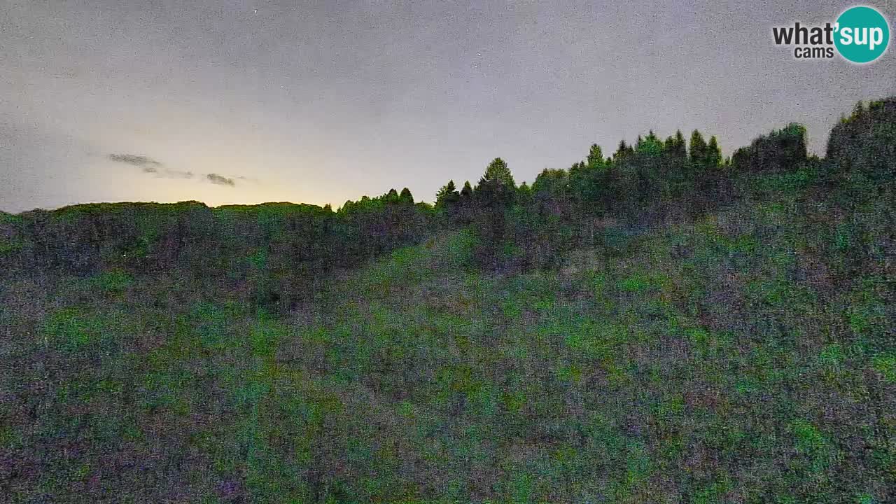 Webcam Smučišče Senožeta – Ski Resort Live View near Bohinj