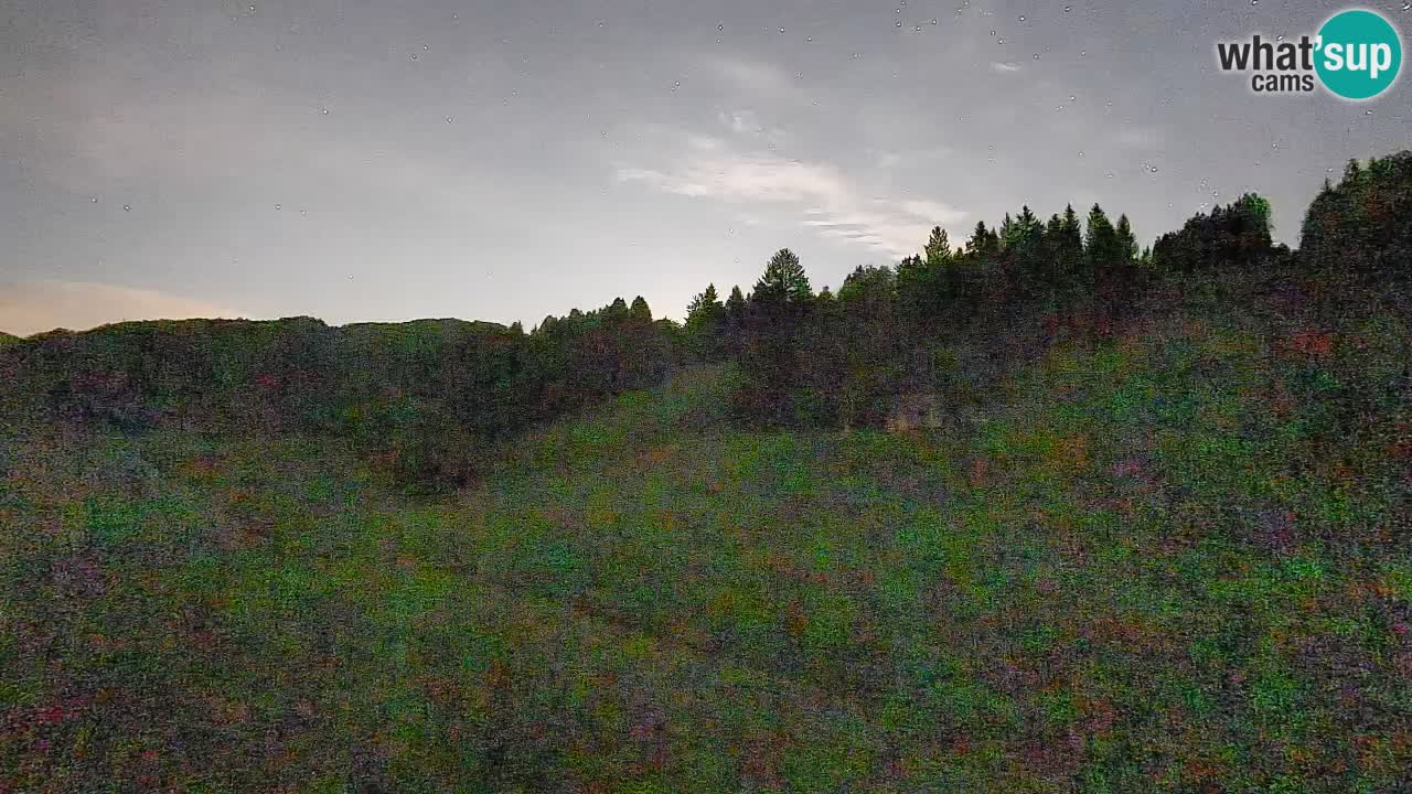 Webcam Smučišče Senožeta – Ski Resort Live View near Bohinj