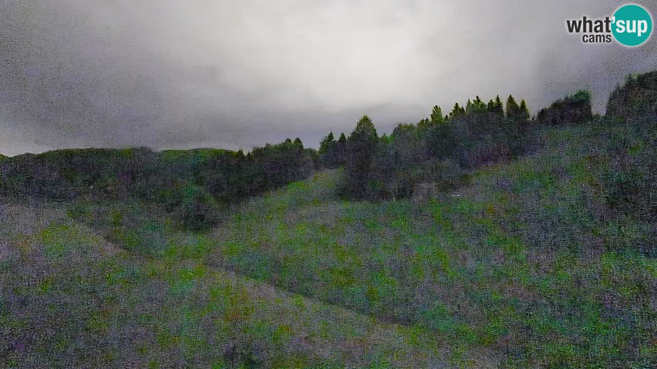 Webcam Smučišče Senožeta – Ski Resort Live View near Bohinj
