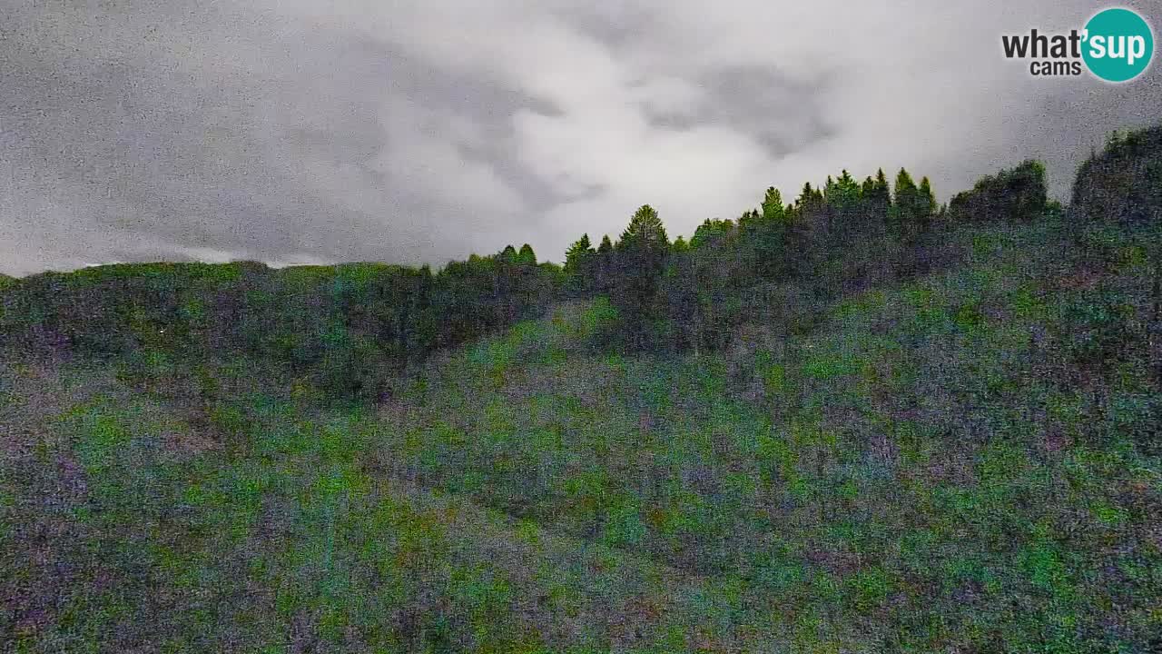 Webcam Smučišče Senožeta – Stazione sciistica a Srednja Vas vicino Bohinj